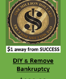 DIY To Remove Bankruptcy